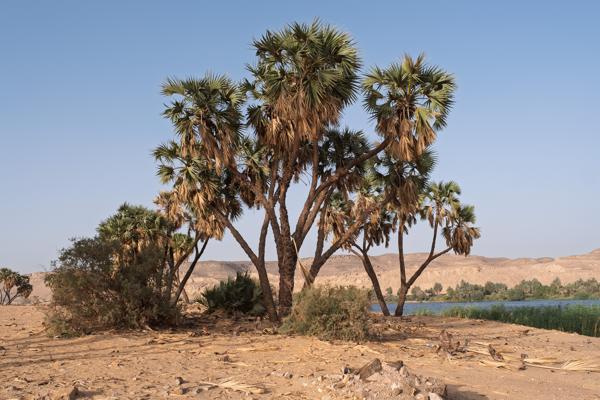 Al Raqaba, Egypt