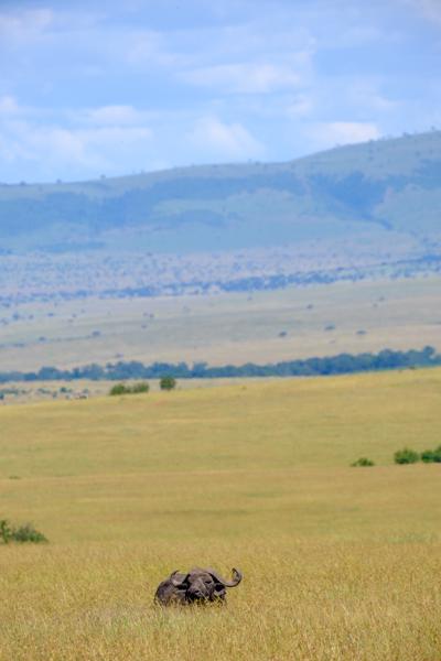 Siana ward, Kenya