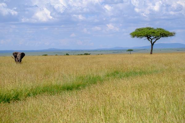 Siana ward, Kenya