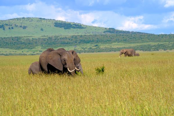 Siana ward, Kenya