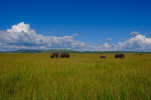 Siana ward, Kenya