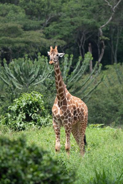Nairobi, Kenya