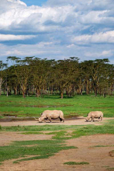 Barut ward, Kenya