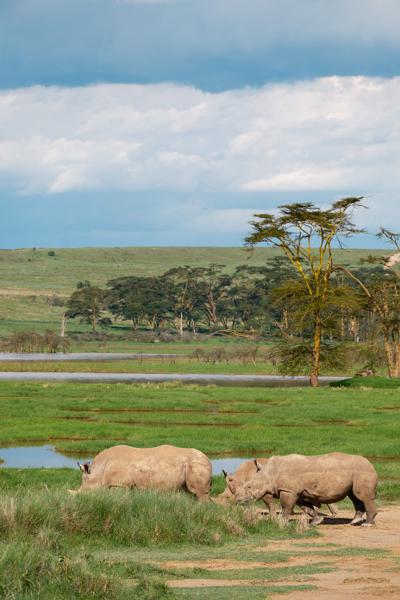 Barut ward, Kenya