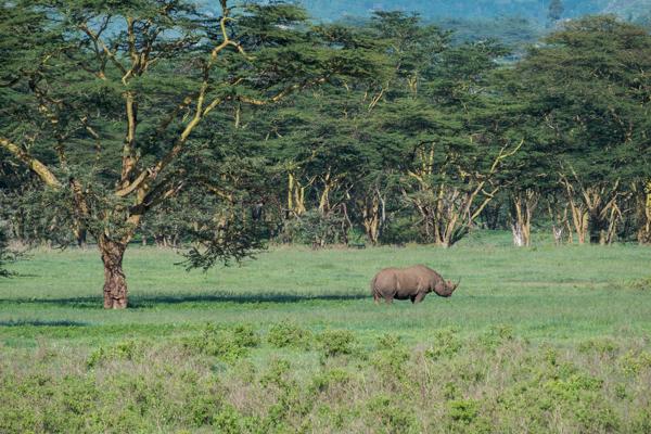 Barut ward, Kenya