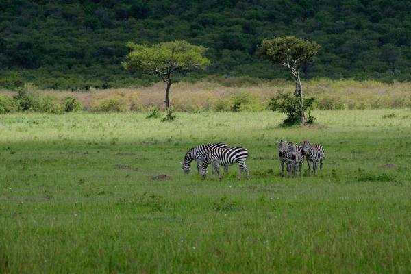 Siana ward, Kenya