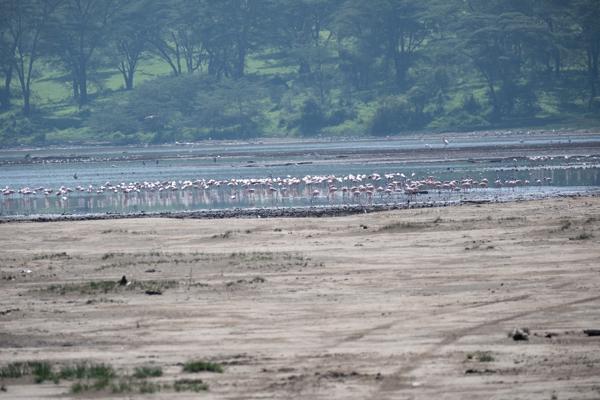 Barut ward, Kenya