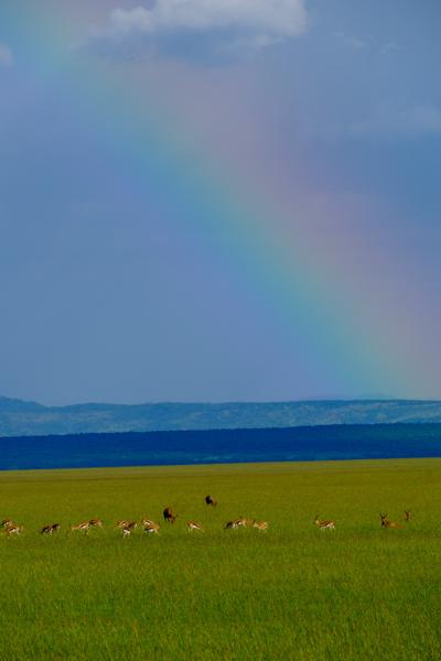 Siana ward, Kenya