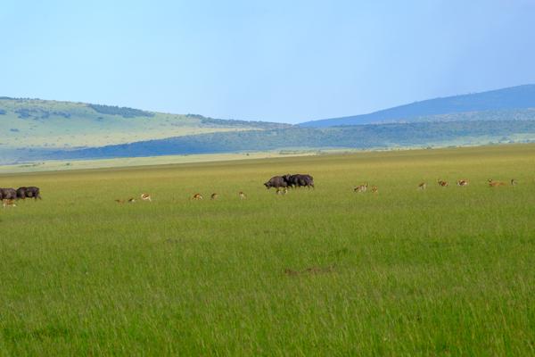 Siana ward, Kenya