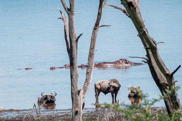 Barut ward, Kenya