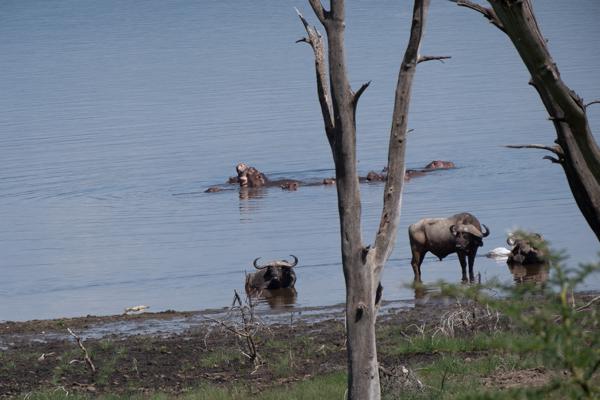 Barut ward, Kenya