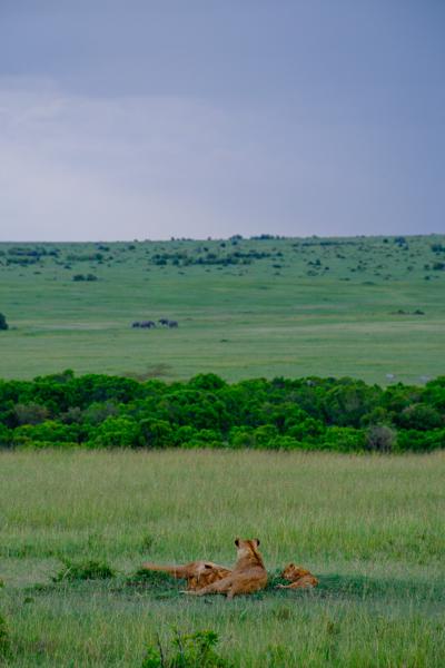 Siana ward, Kenya