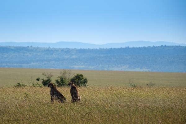 Siana ward, Kenya