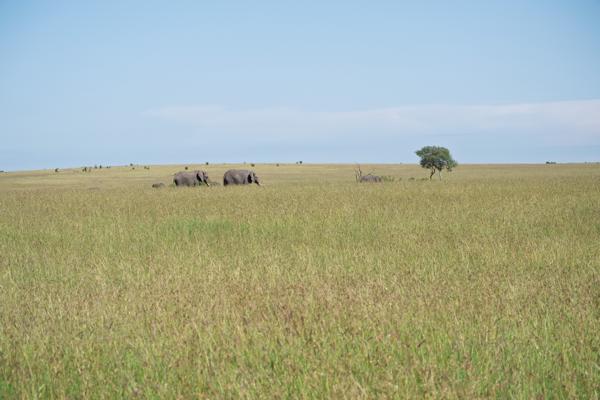 Siana ward, Kenya