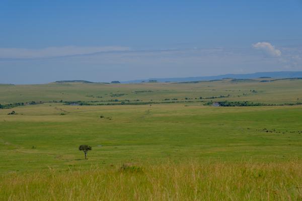 Siana ward, Kenya