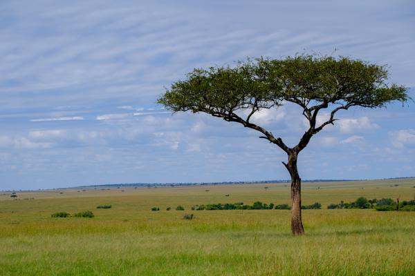 Siana ward, Kenya