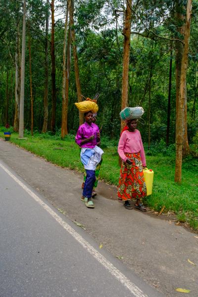Gashenyi, Rwanda