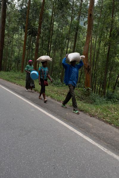 Gashenyi, Rwanda