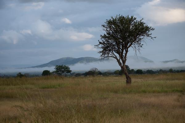 Tanzania