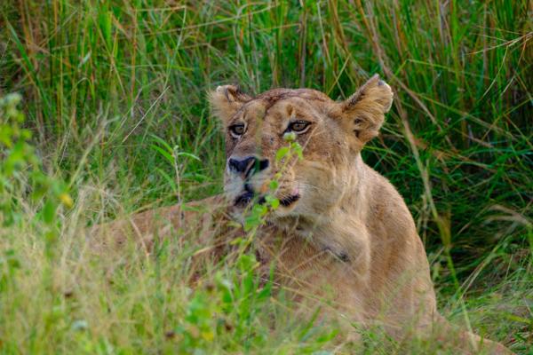 Tanzania