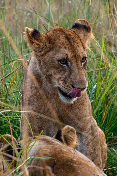 Tanzania