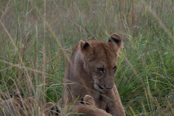 Tanzania
