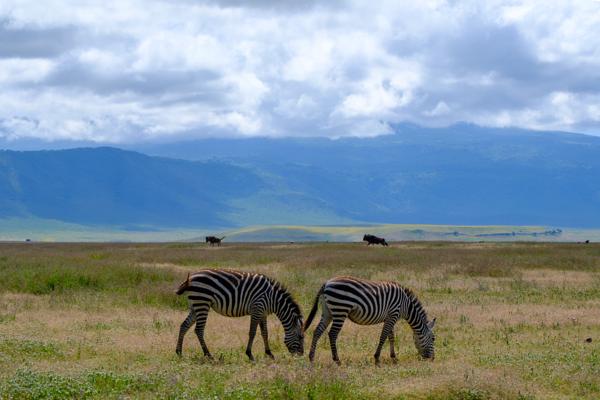 Tanzania