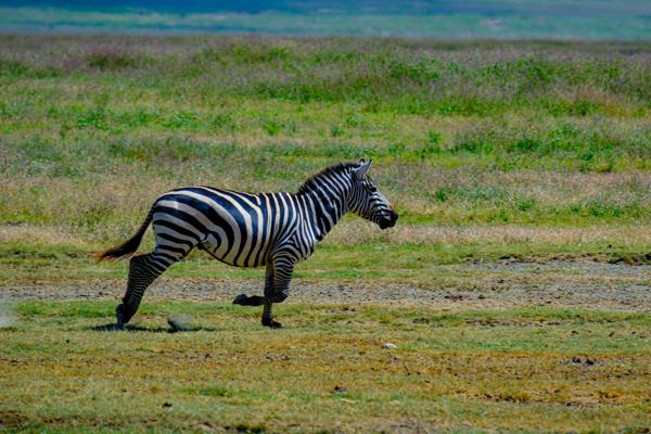 Tanzania