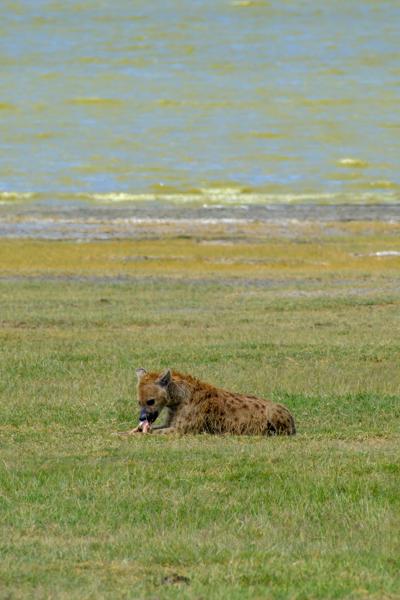 Tanzania