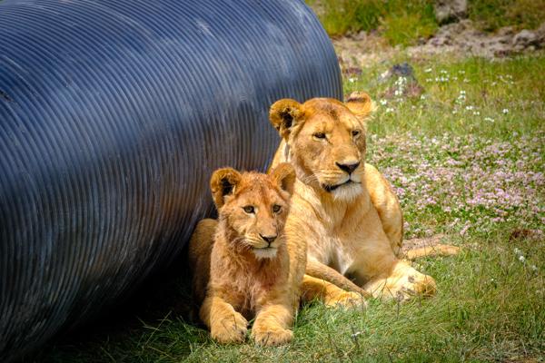 Tanzania