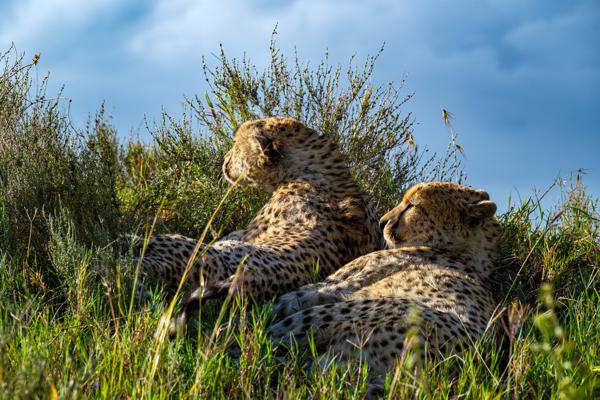 Robanda, Tanzania