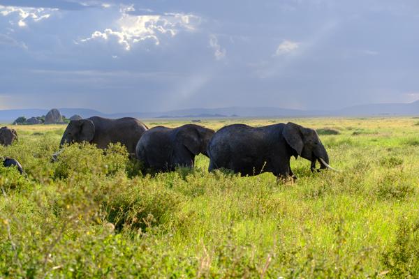 Robanda, Tanzania