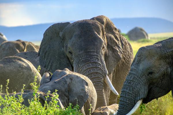 Robanda, Tanzania