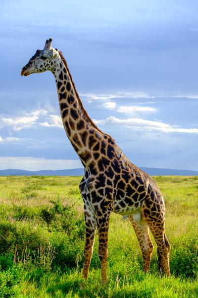 Robanda, Tanzania