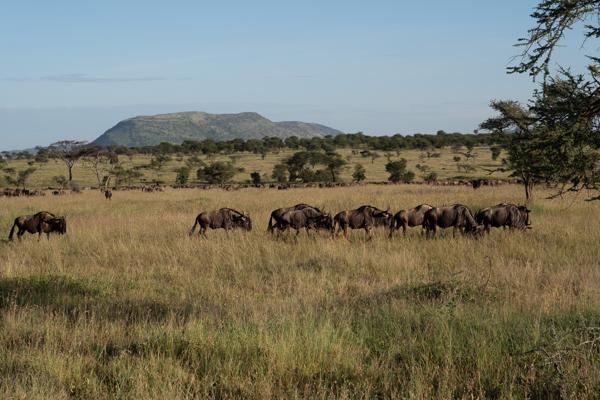 Tanzania