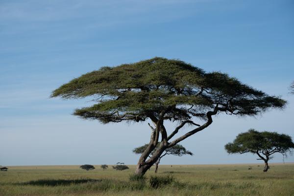 Tanzania
