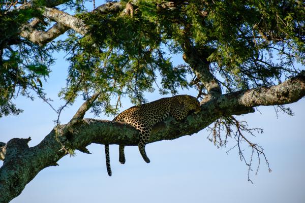 Tanzania