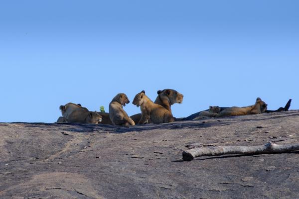 Tanzania