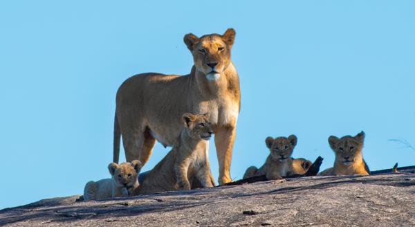Tanzania