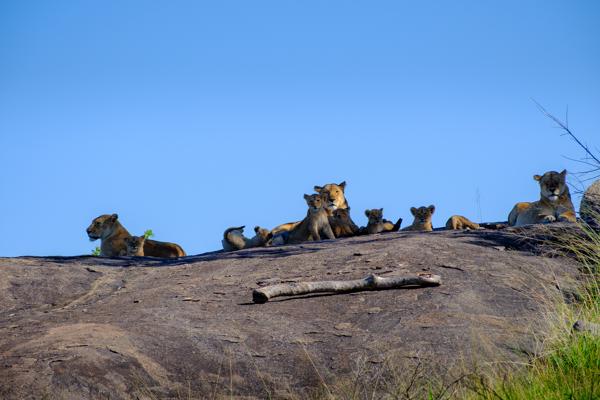 Tanzania