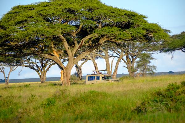 Tanzania