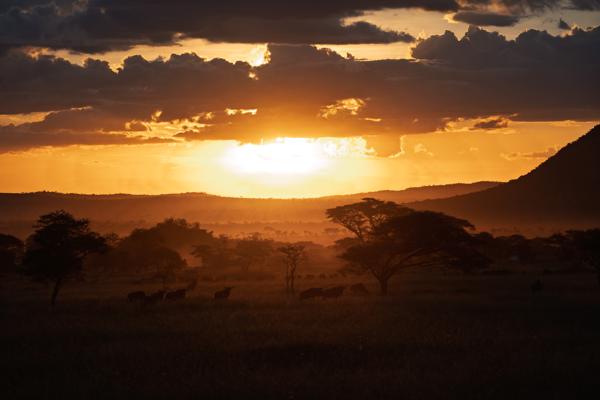 Tanzania