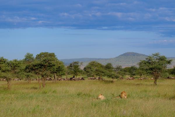 Seronera, Tanzania