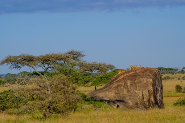Robanda, Tanzania