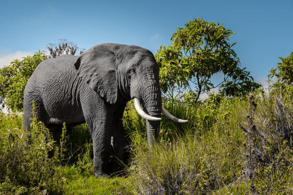Tanzania 2023