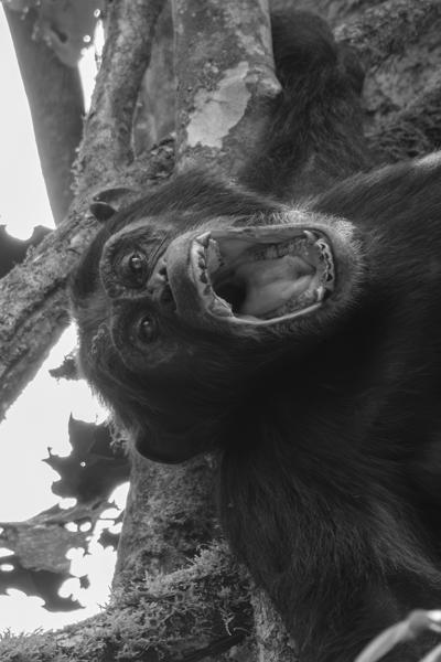 Kayanga, Uganda