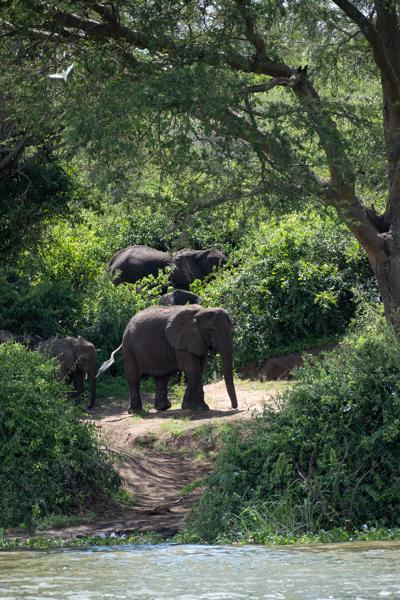Kyangabukama, Uganda
