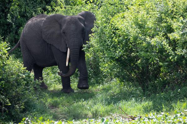 Katunguru, Uganda