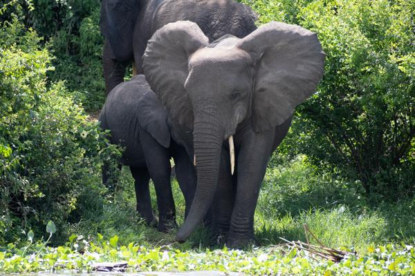 Katunguru, Uganda