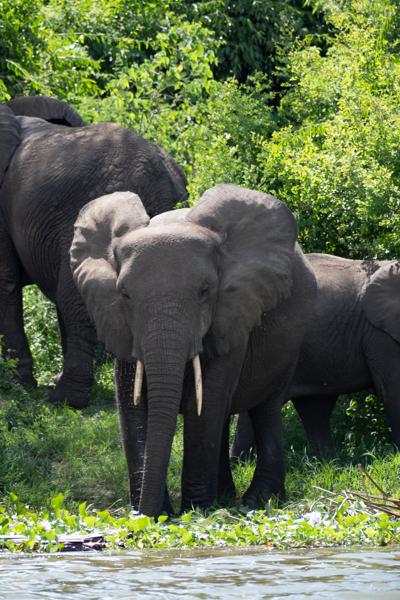 Katunguru, Uganda